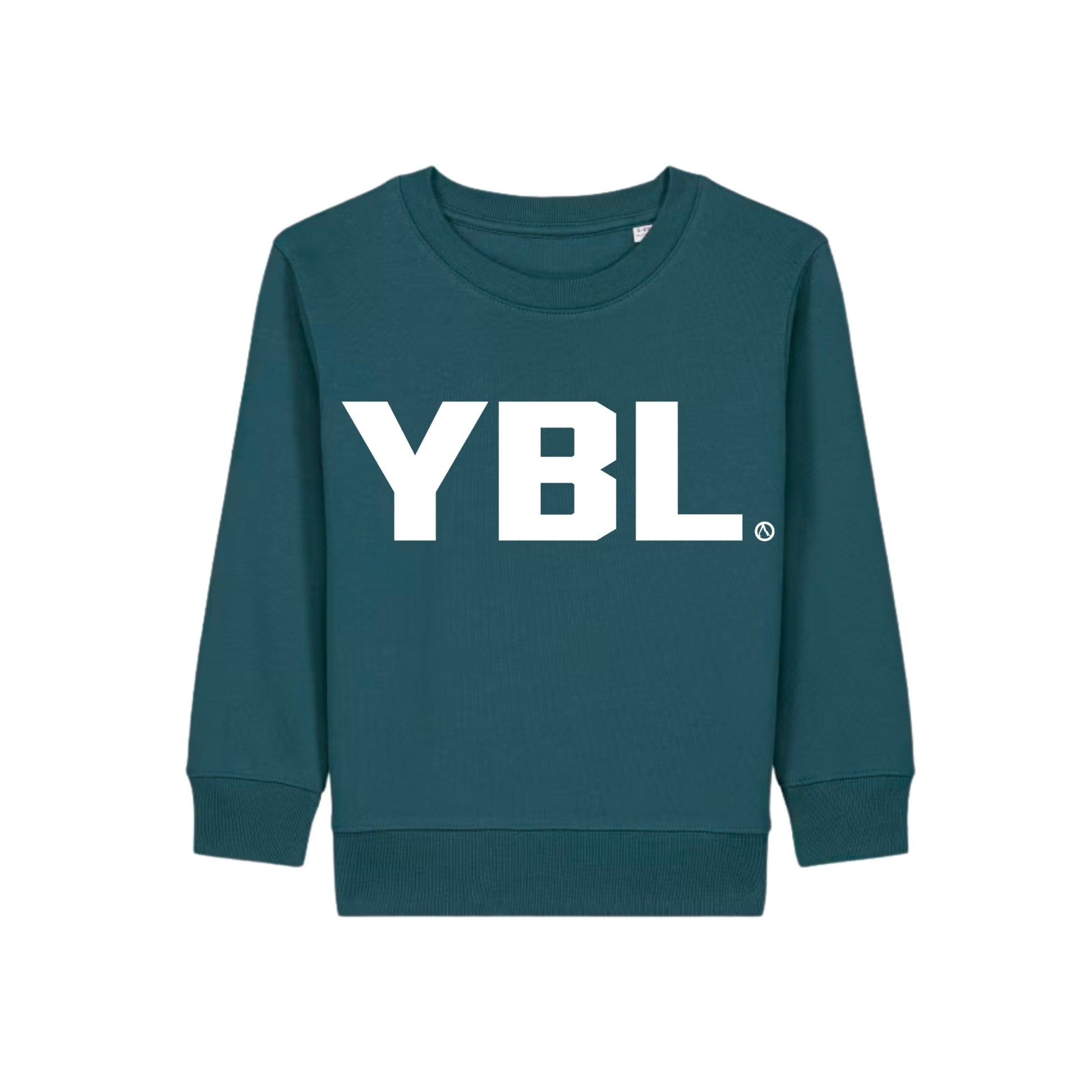 Kids Sweatshirt in Stargazer