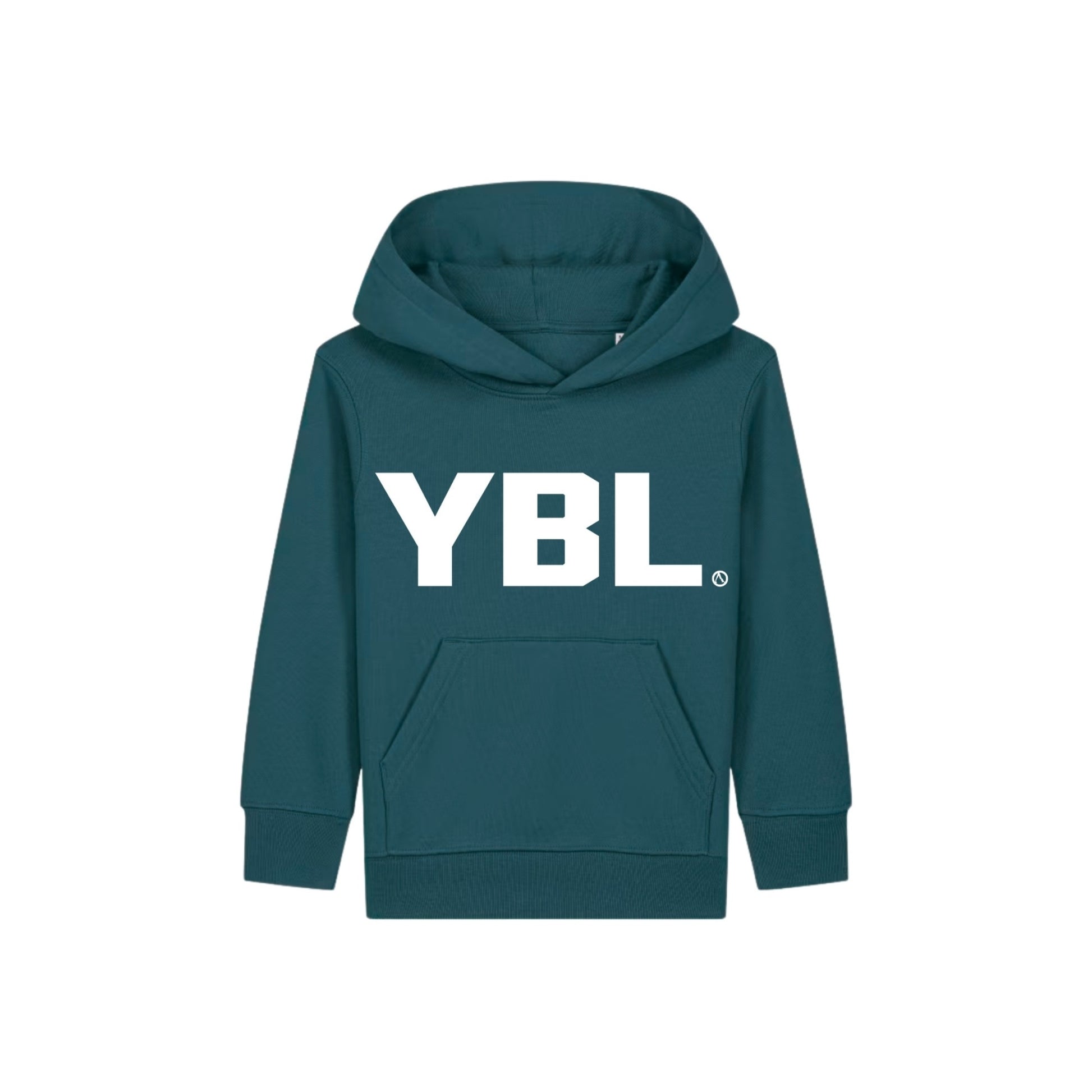 Kids Hoodies in Stargazer
