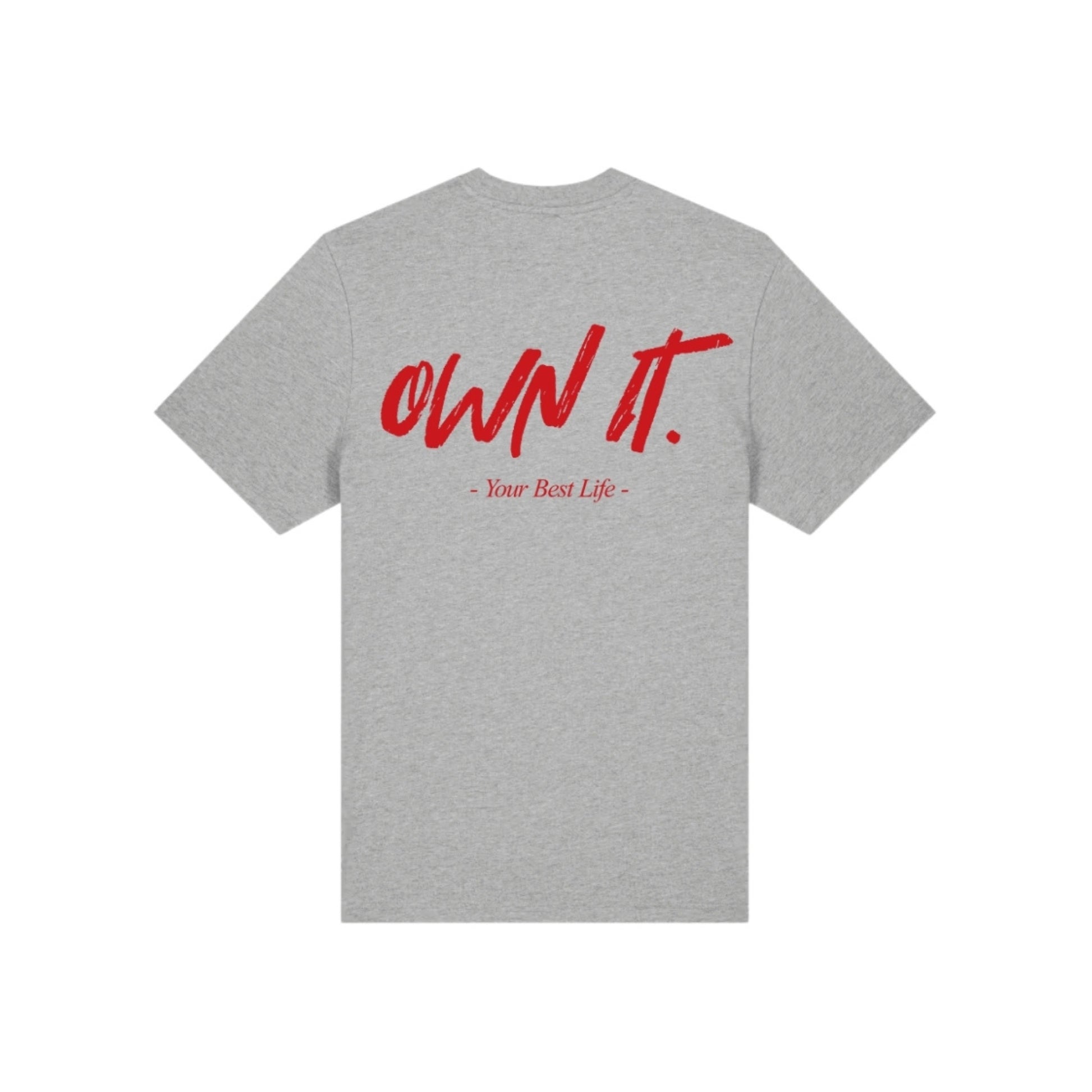 Own It Heavy Oversized Tee in Heather Grey