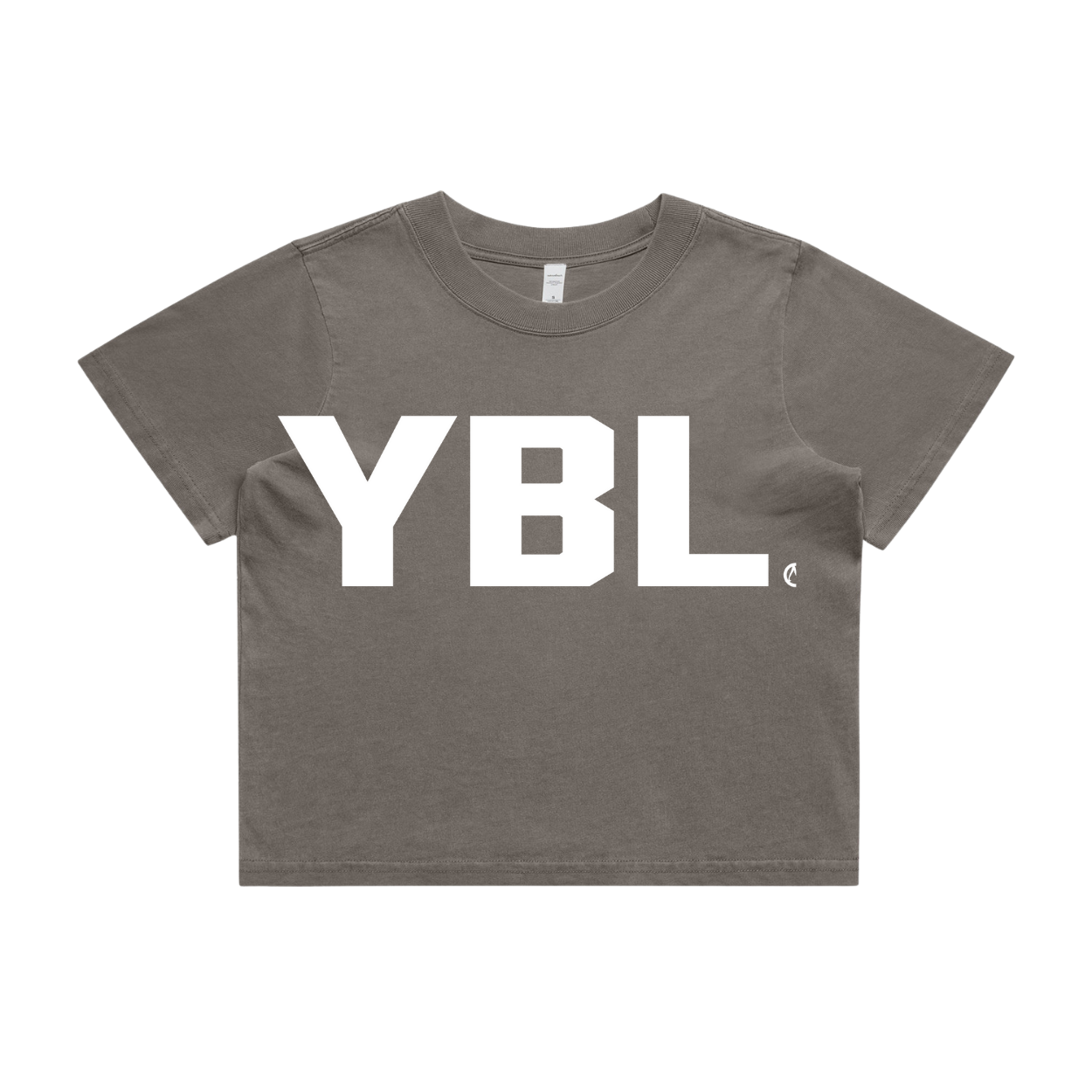 YBL' Heavy Faded Crop Tee in Faded Grey