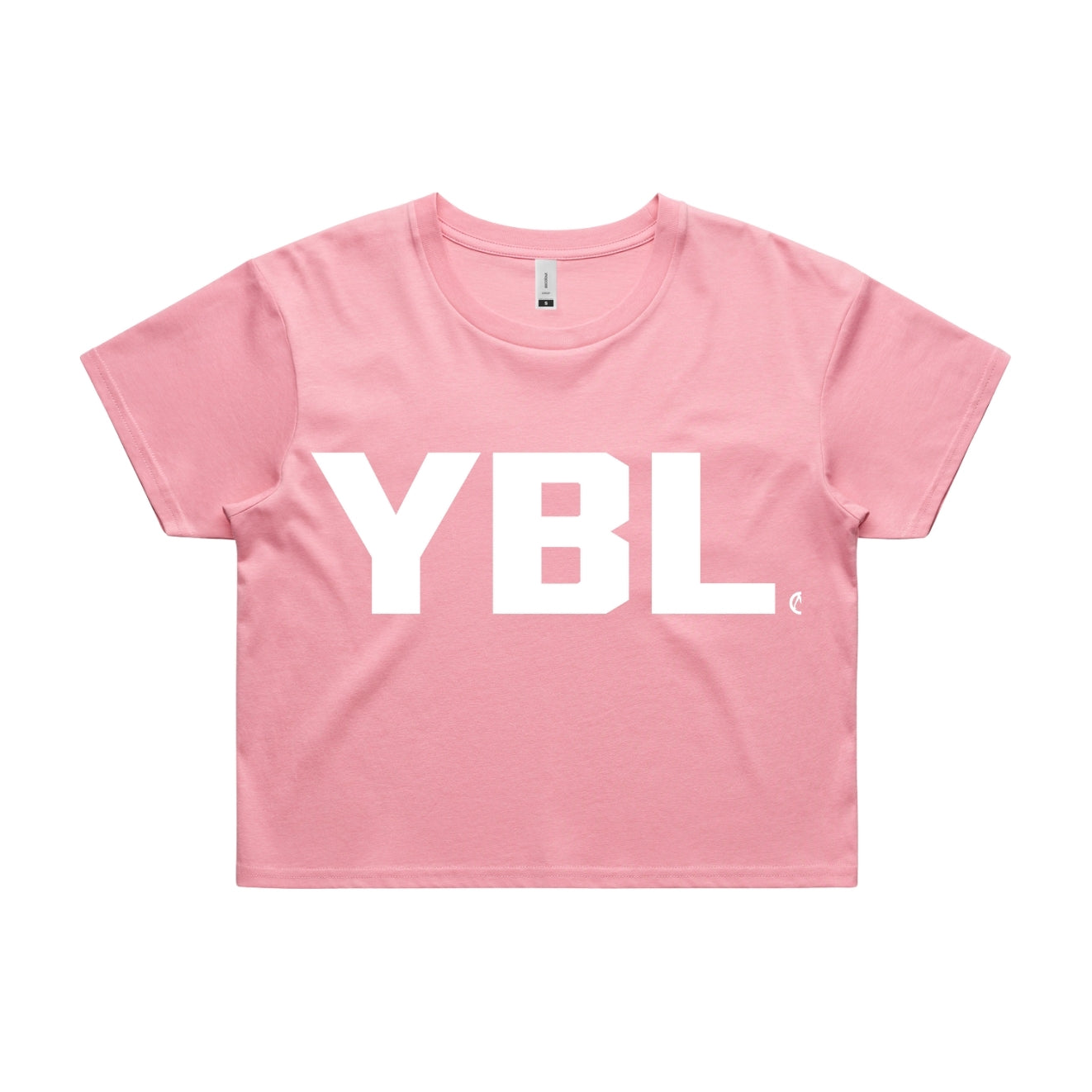Lightweight Regular Fit Crop Tee in Pink