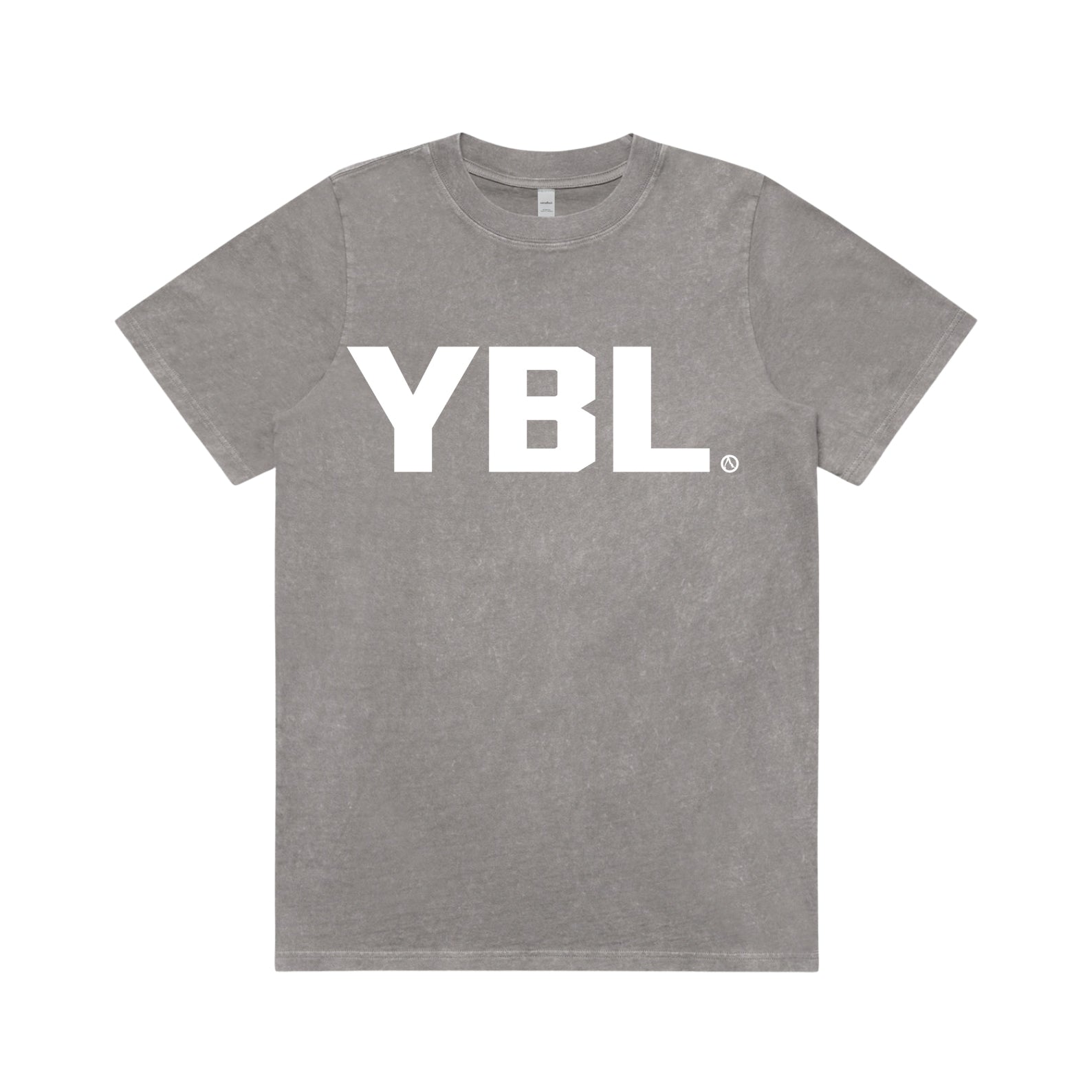 Womens Fit Stone Wash Tee in Faded Grey