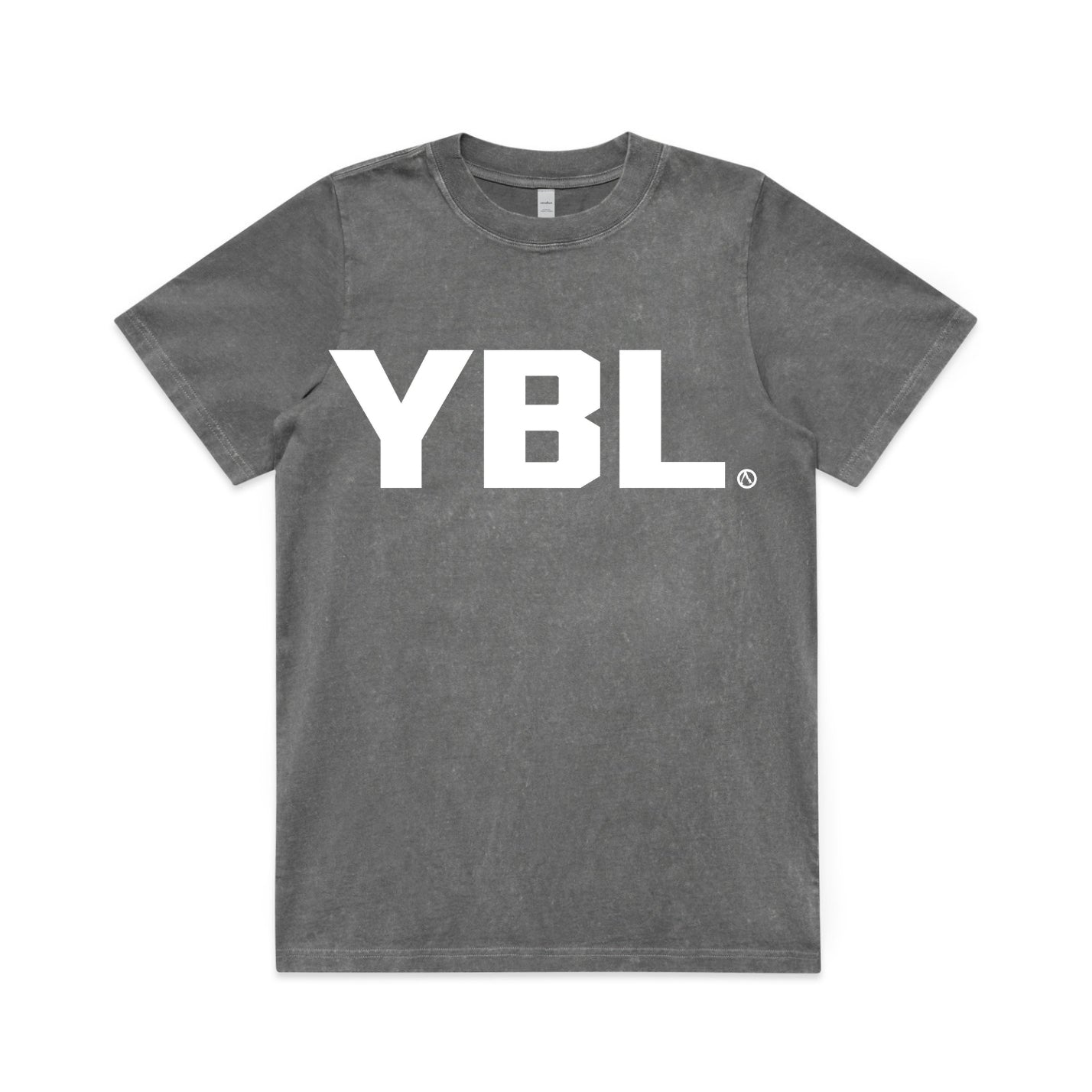 Womens Fit Stone Wash Tee in Faded Coal